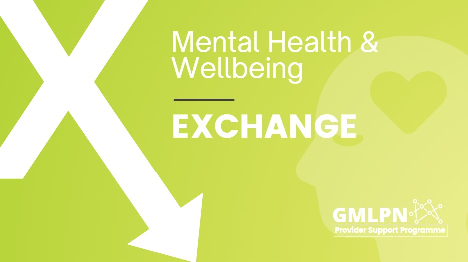 Mental Health & Wellbeing Professional Exchange